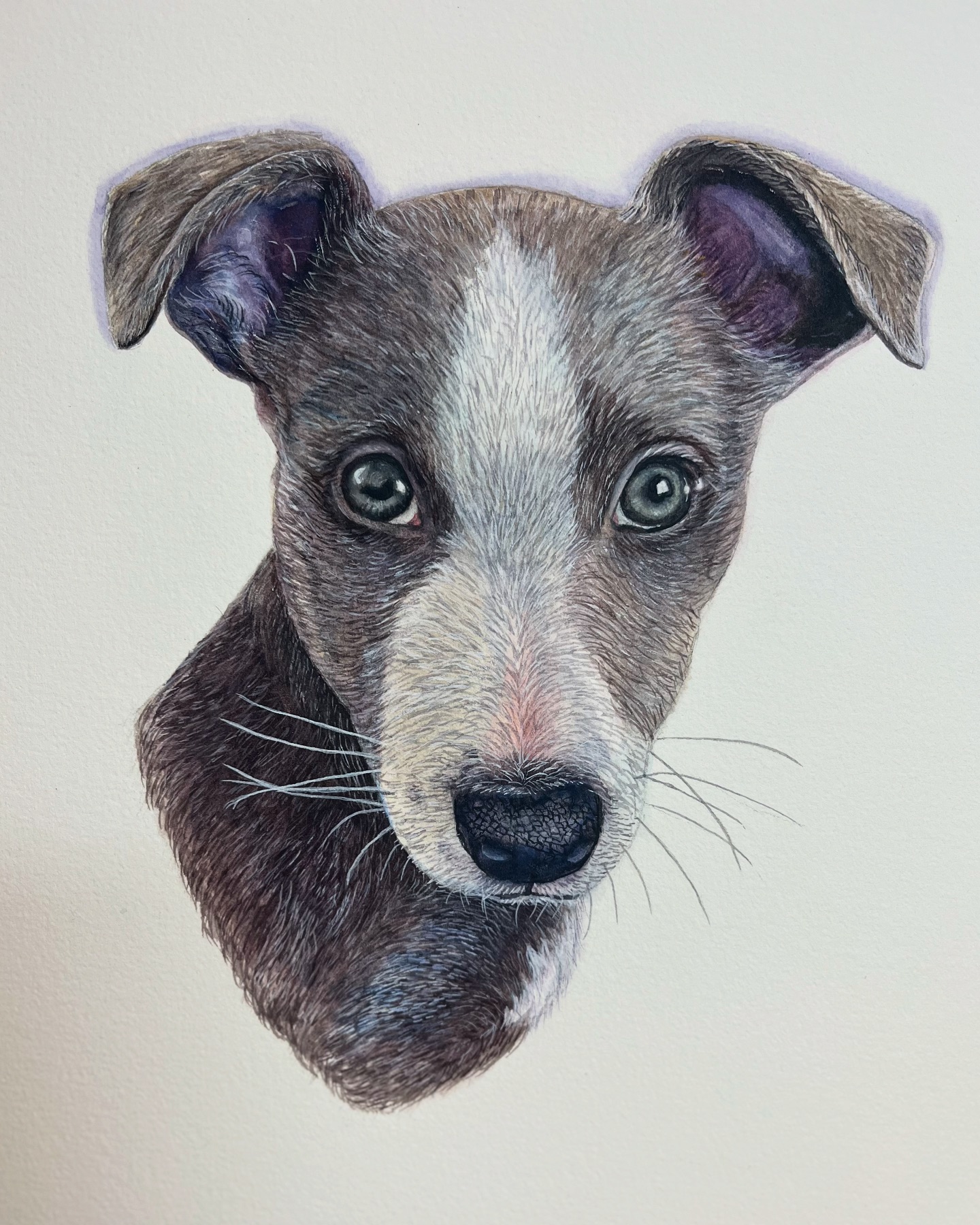 Marion - Commissioned a surprise Christmas present. ‘Bluebell’ First ...