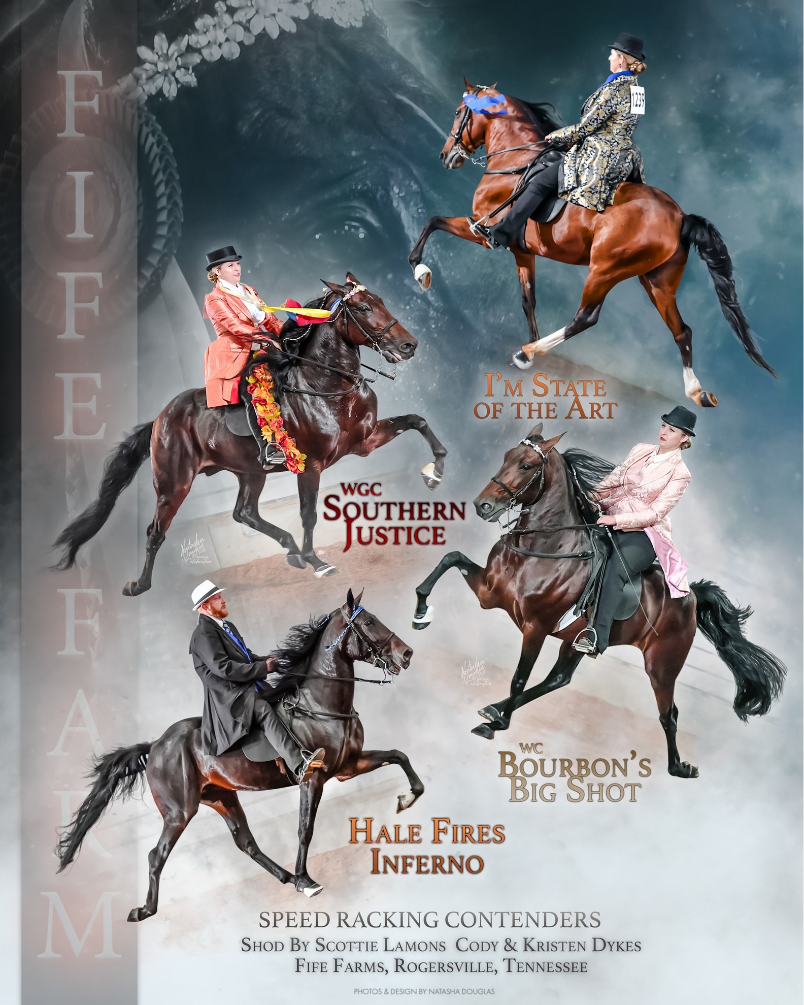 Racking Horse Breeders Association of America | Decatur AL