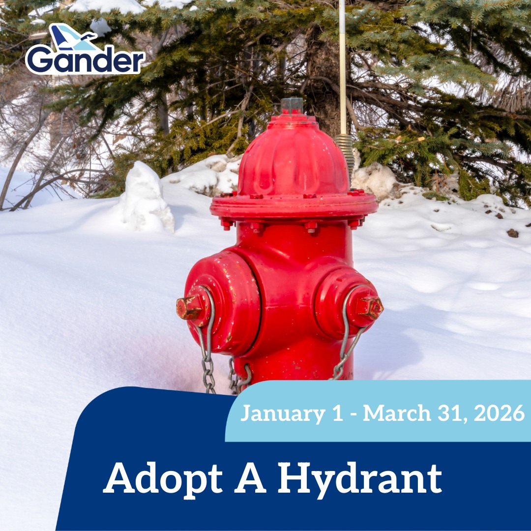 Town of Gander - The Adopt-A-Hydrant campaign runs from... | Facebook