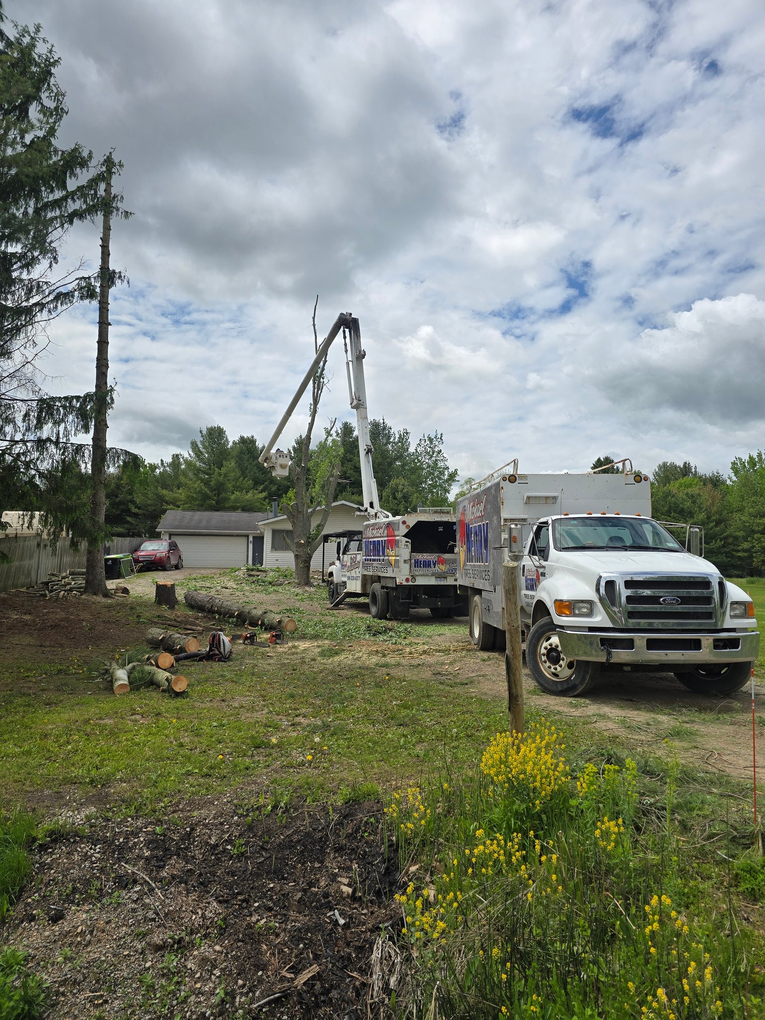 Michael HENRY TREE Services
