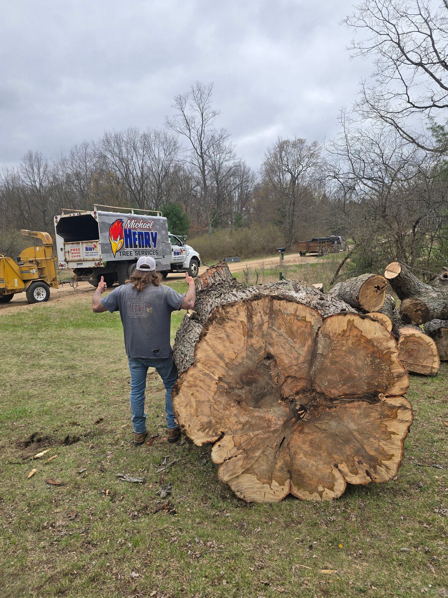 Michael HENRY TREE Services
