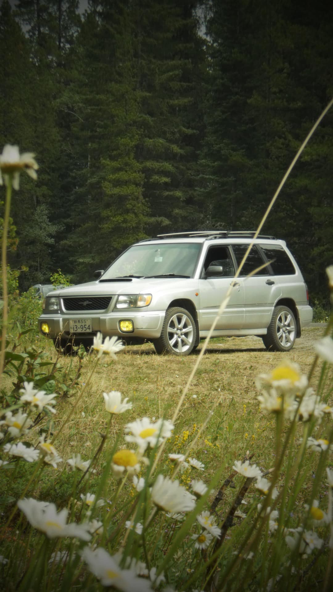 1997 Subaru Forester STB won't start, no ignition
