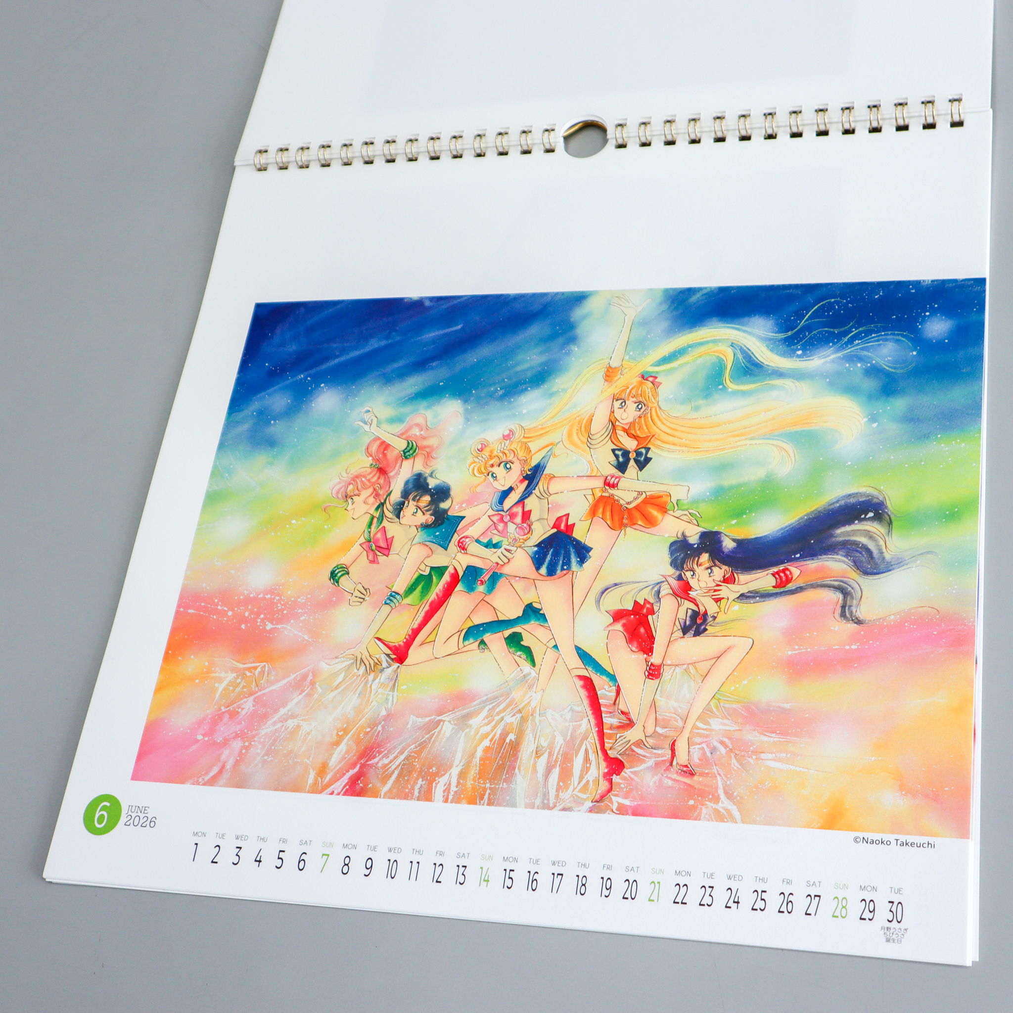 NewArrivals 2026 Calendar アニメ #ハイキュー ！！ CL-024 2026年