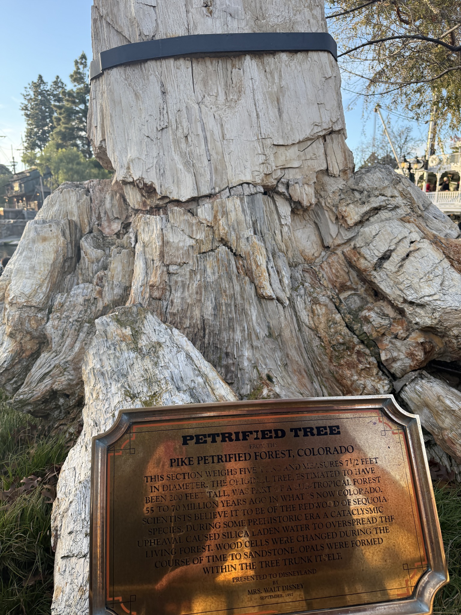 This is the oldest thing at Disneyland, which is tens of millions 