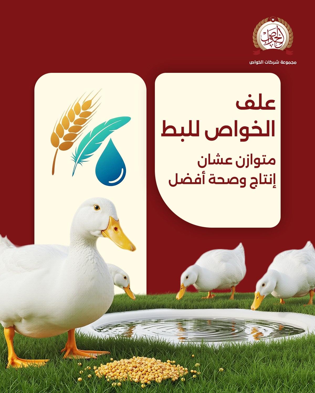 الخواص للأعلاف - Elkhawas Feed