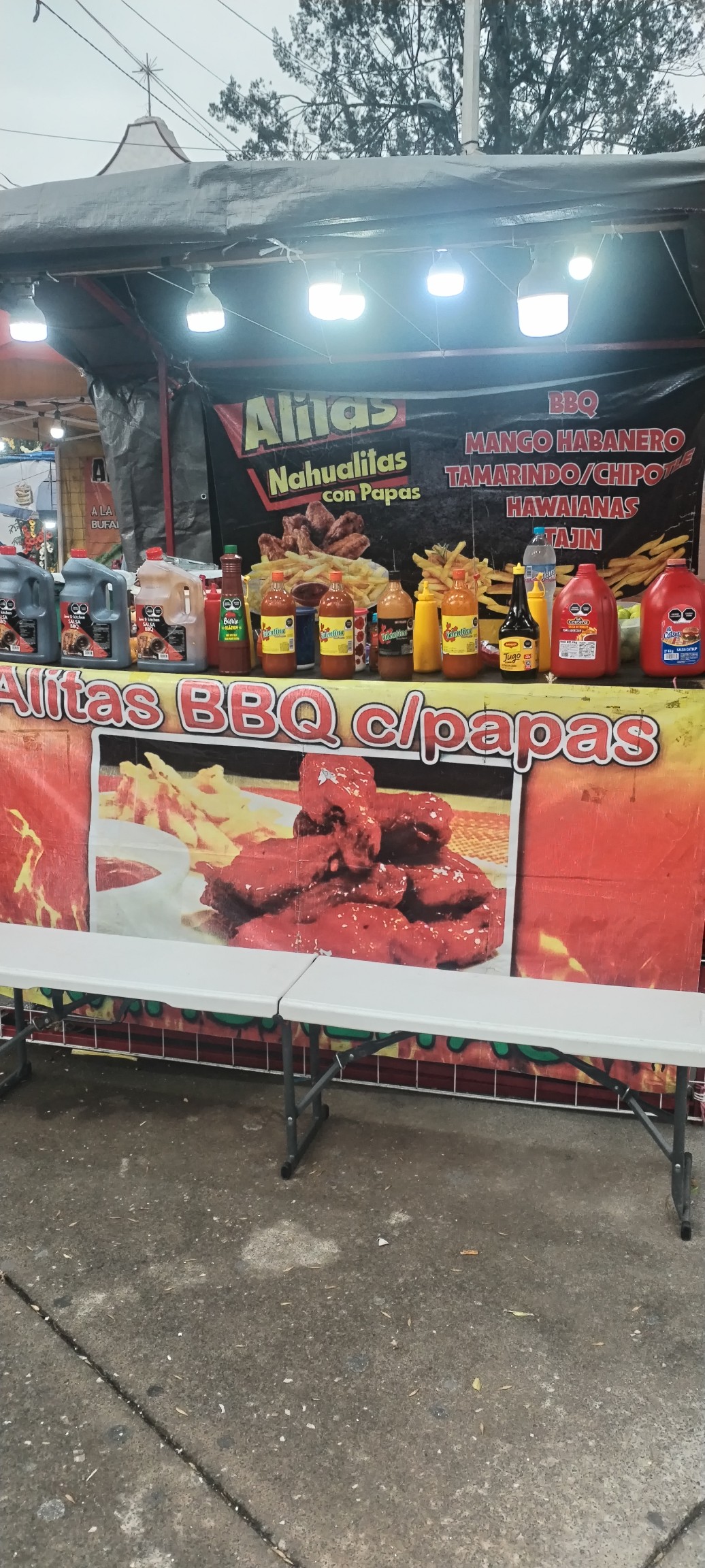 Alitas Nahualitas