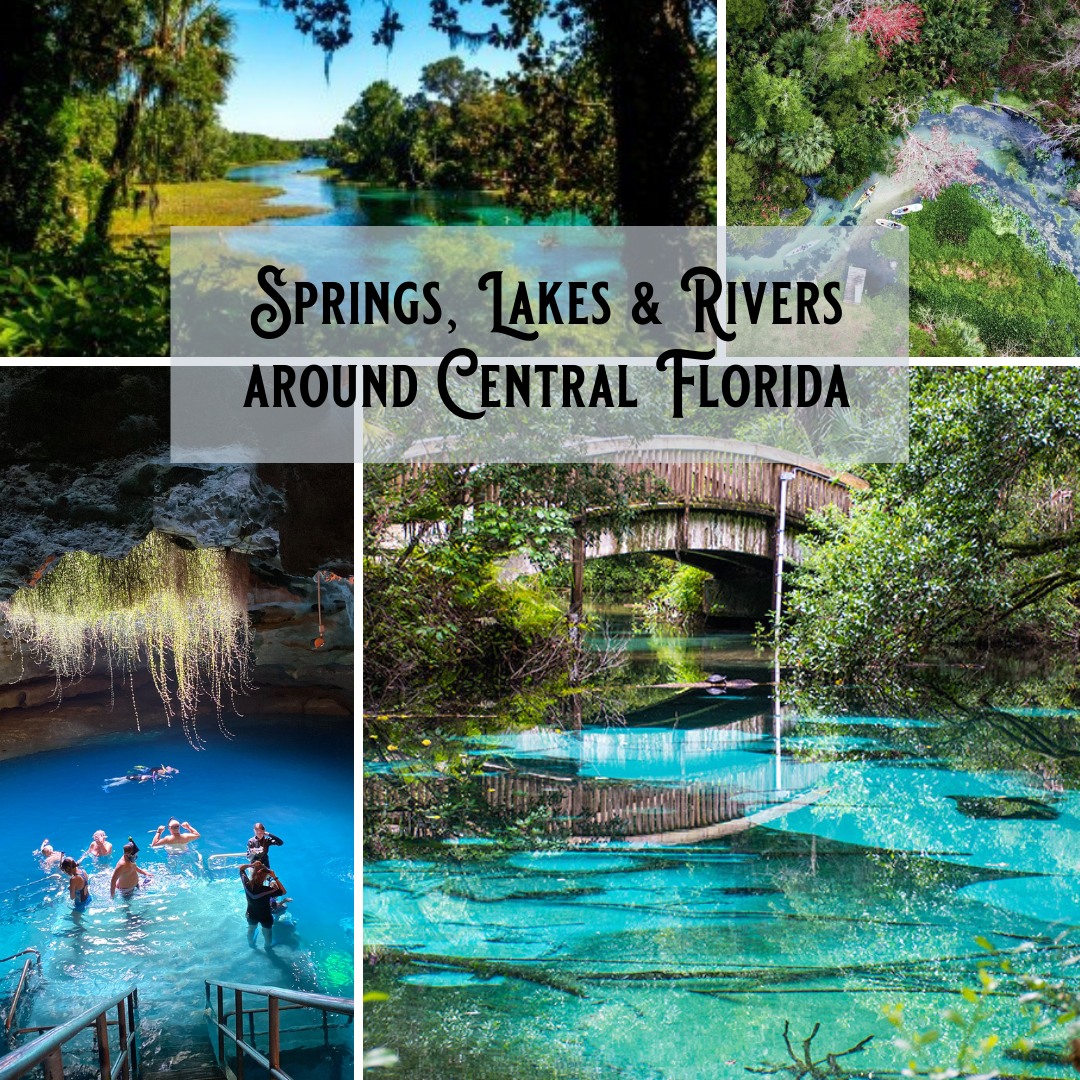 Fun - Create a SPRING BUCKET LIST of Florida's Springs, Lakes and ...
