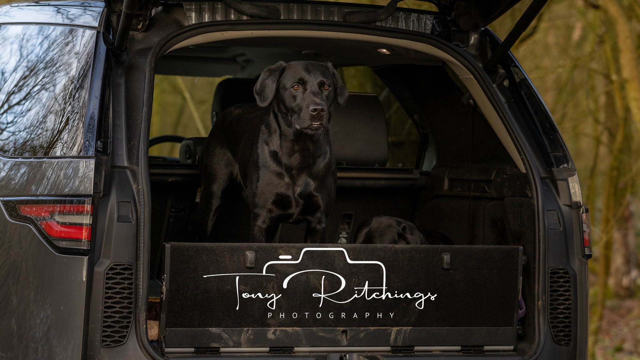 Tony Ritchings Photography