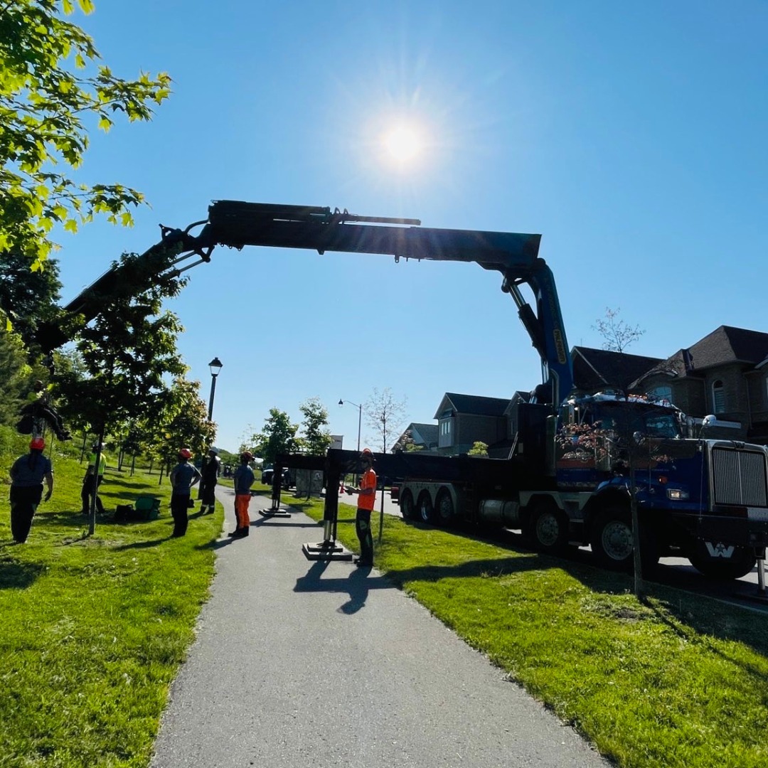 Advanced Tree Care Inc. added a... - Advanced Tree Care Inc.