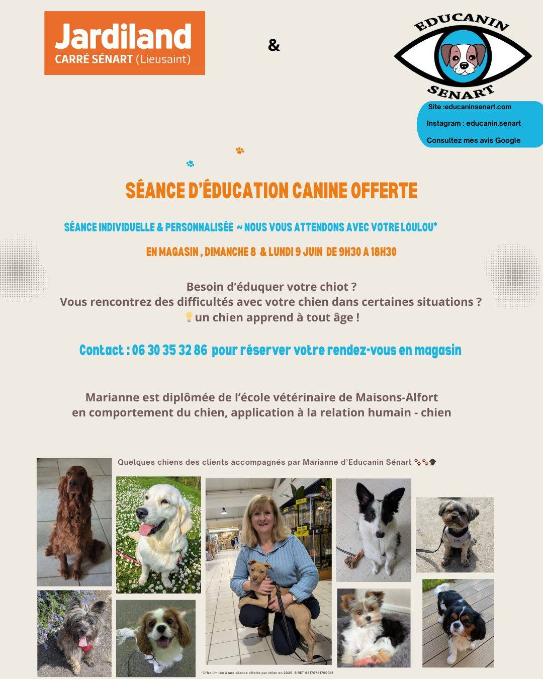 Sitemapcdatahttpssalymixel Thicoipeinfocage Pour Chien Jardiland