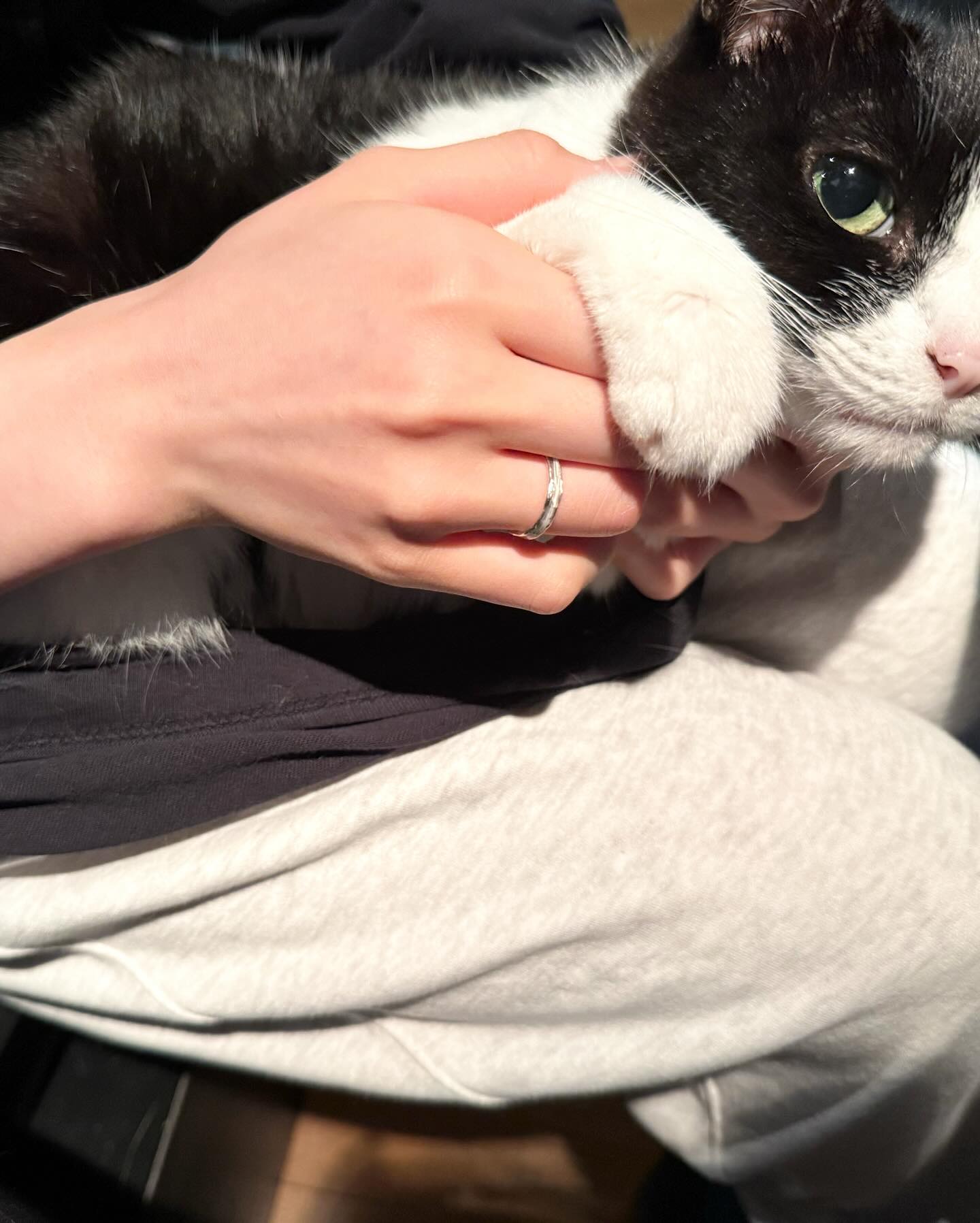 猫ヒゲのシルバーリングをお仕立てしました。 . 愛猫の自然に抜けた 