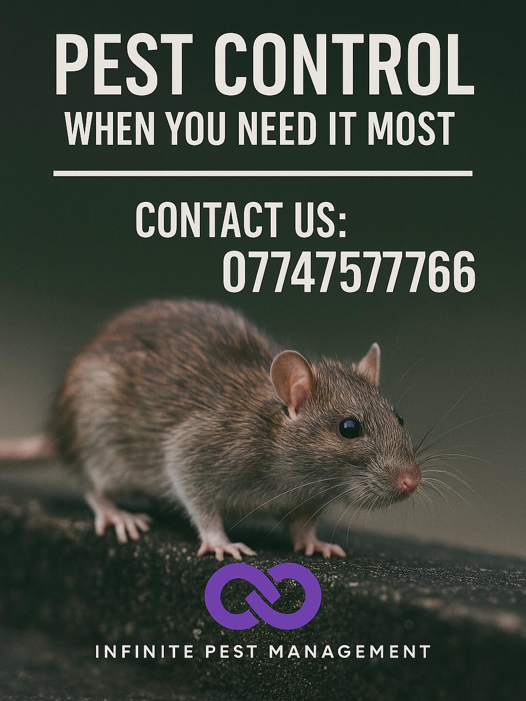 Infinite - 🚫🐜 Say goodbye to unwanted pests – for good! 🐀🕷️ At Infinite ...