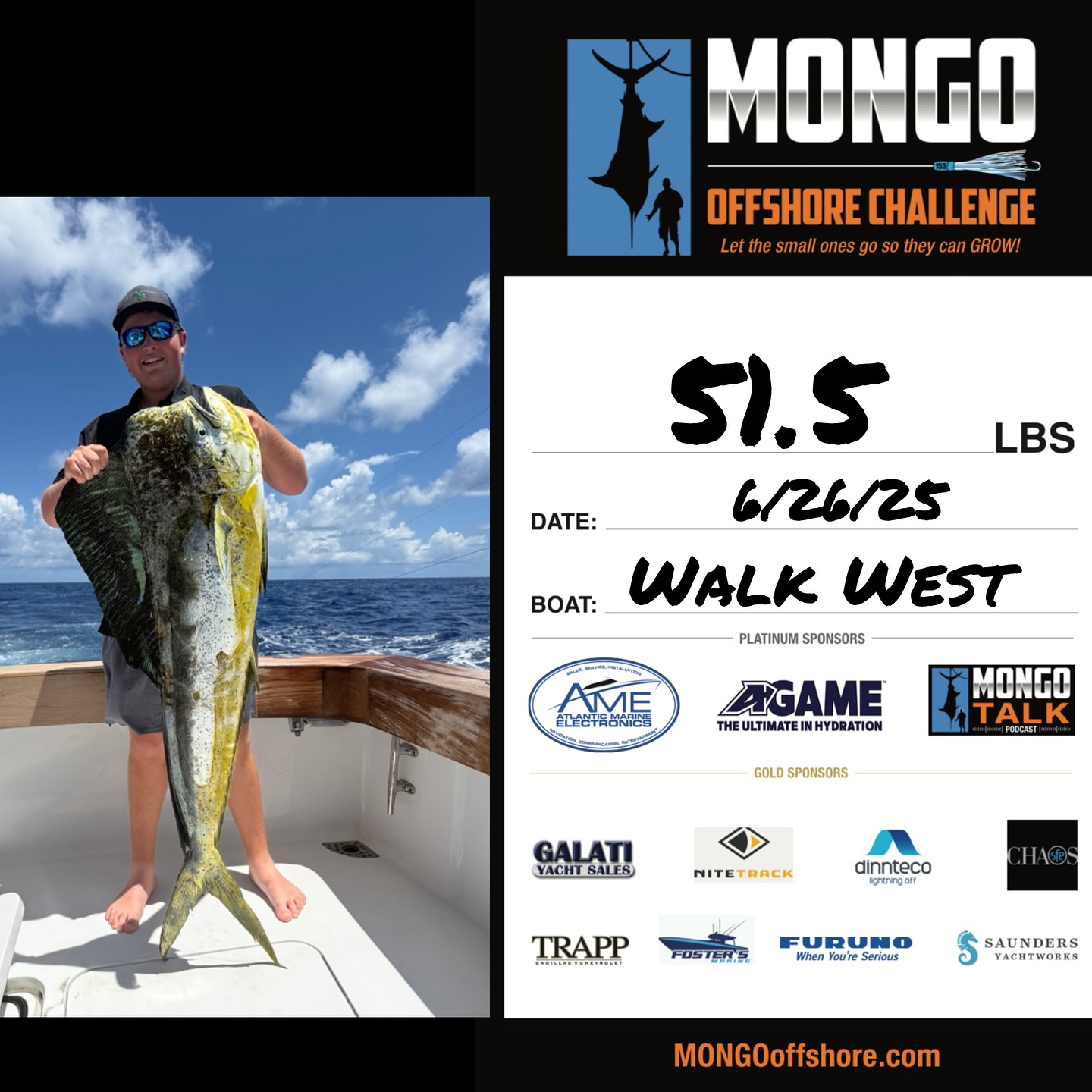 MONGO Offshore Challenge