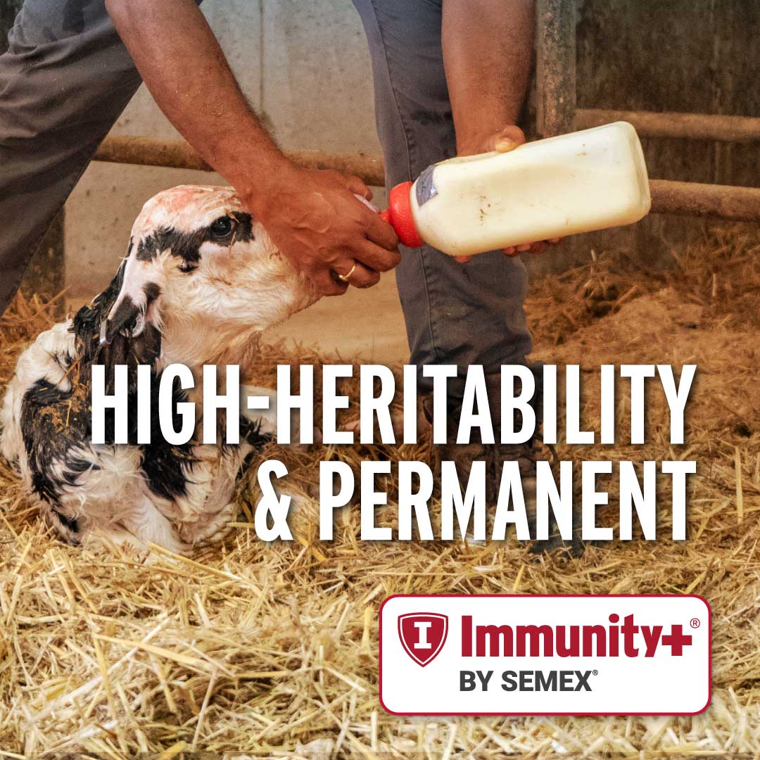 Semex - Semex added a new photo.