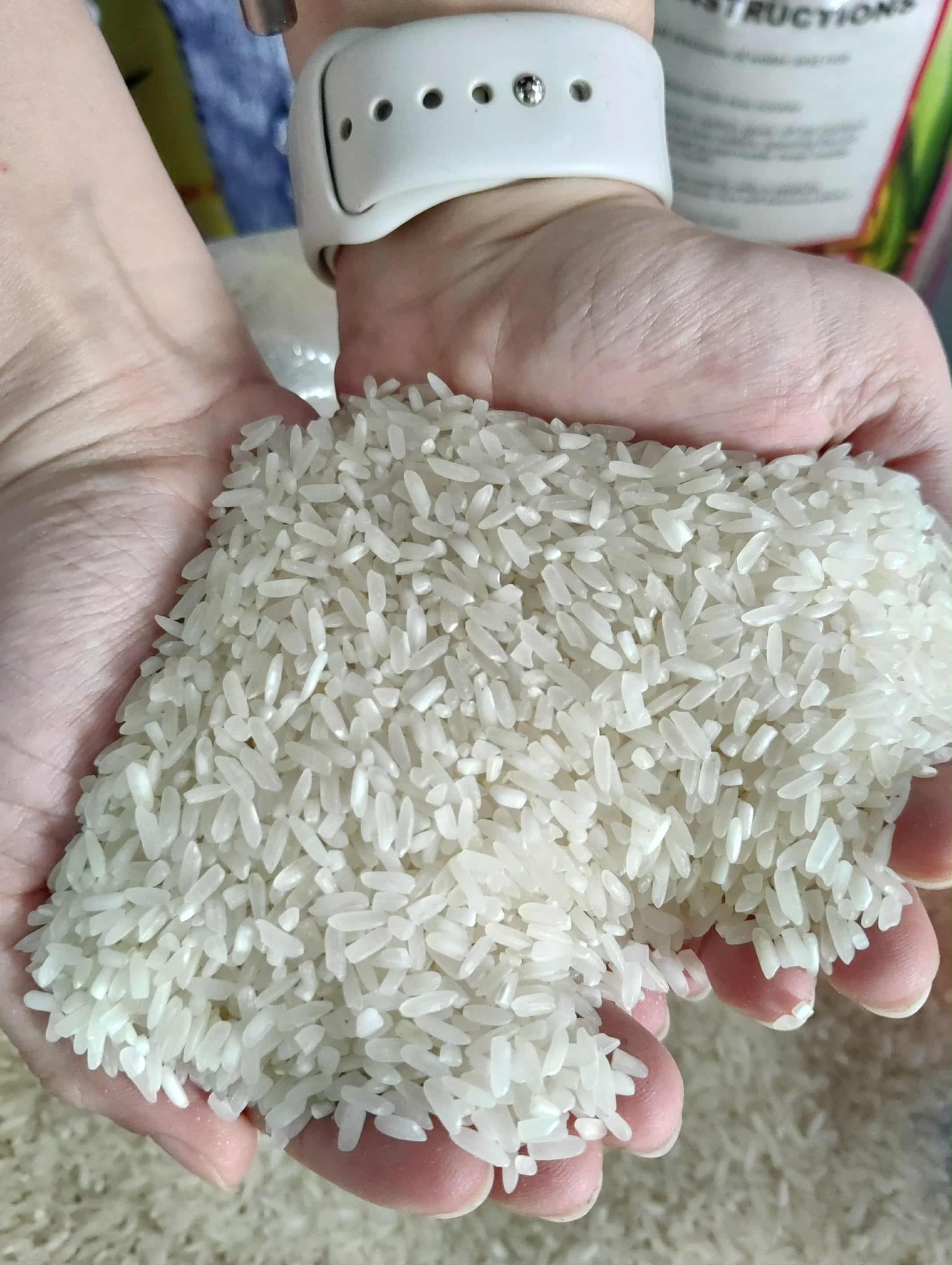 G-four Grains Milling Corporation | San Fernando