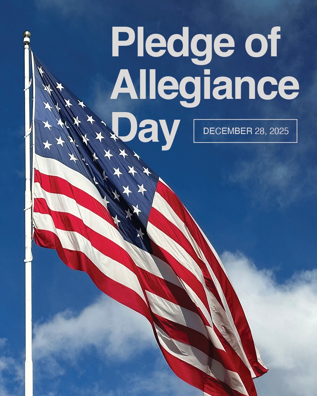 Today, we honor the Pledge of... - Senator Bill Hagerty | Facebook