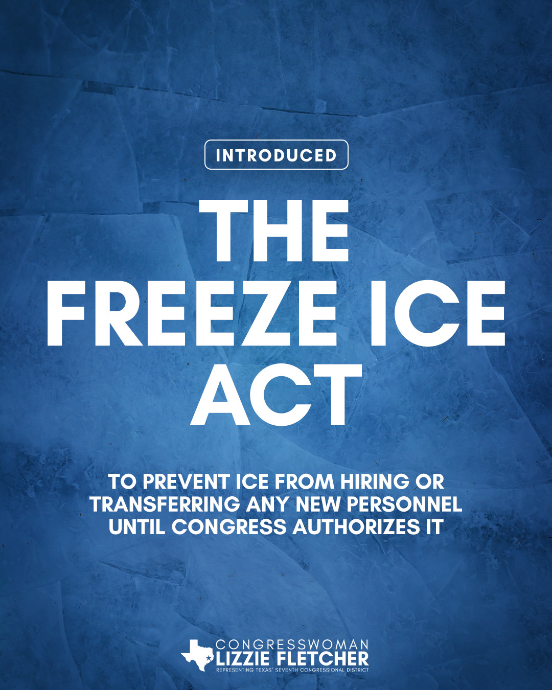 Today, I introduced the... - Congresswoman Lizzie Fletcher | Facebook