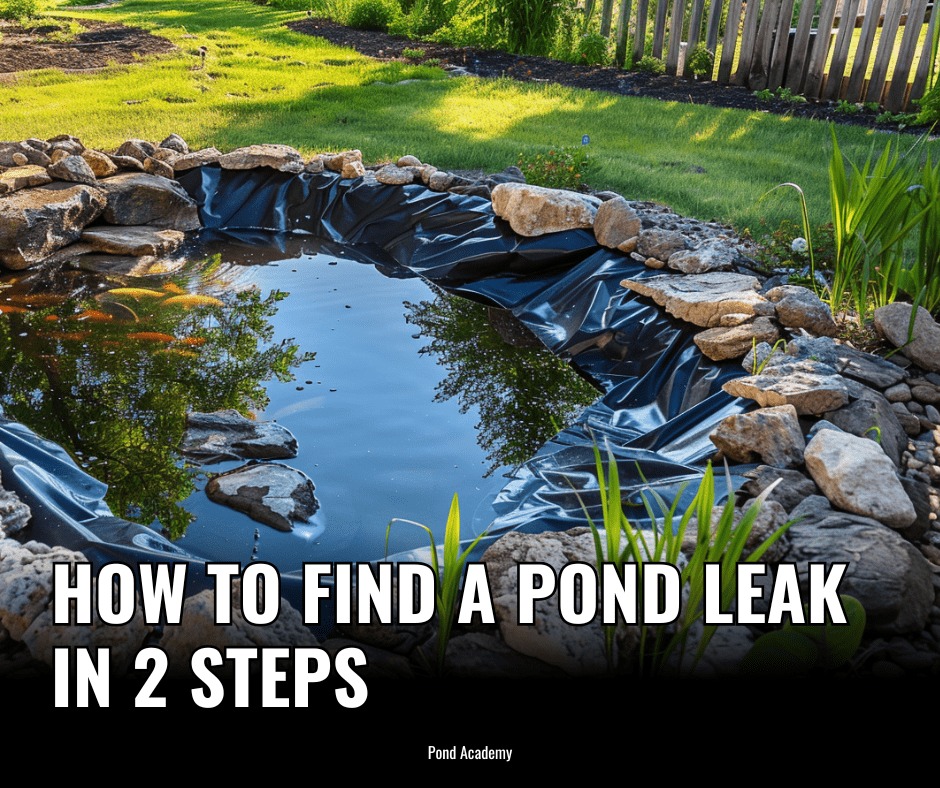 Pond - My two-step process I use to find a pond leak that works every
