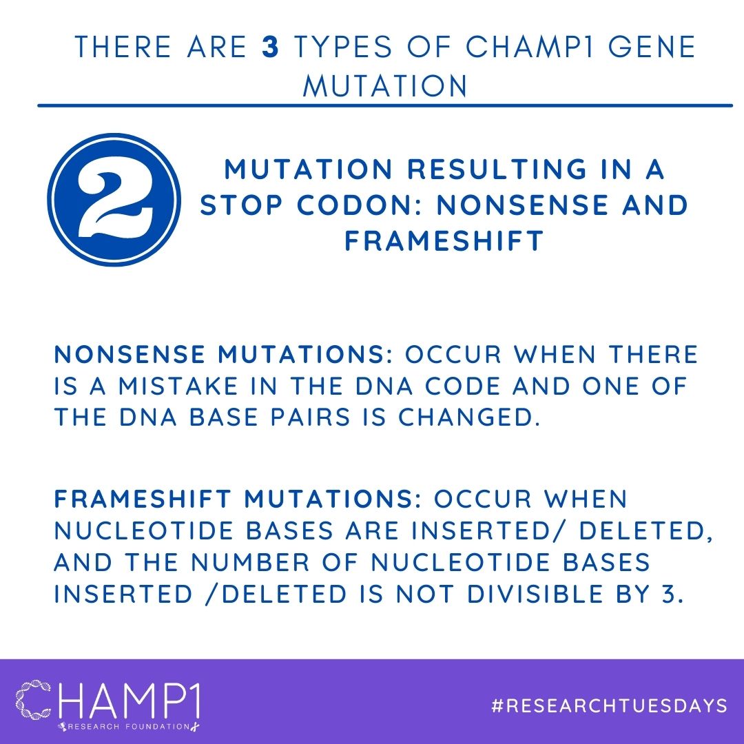 Types of CHAMP1 Gene Mutations... - CHAMP1ResearchFoundation
