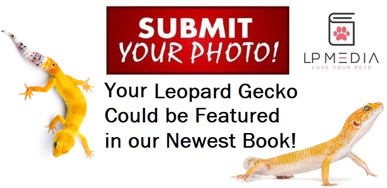 Now available in e-book format: “Leopard Geckos - The Next