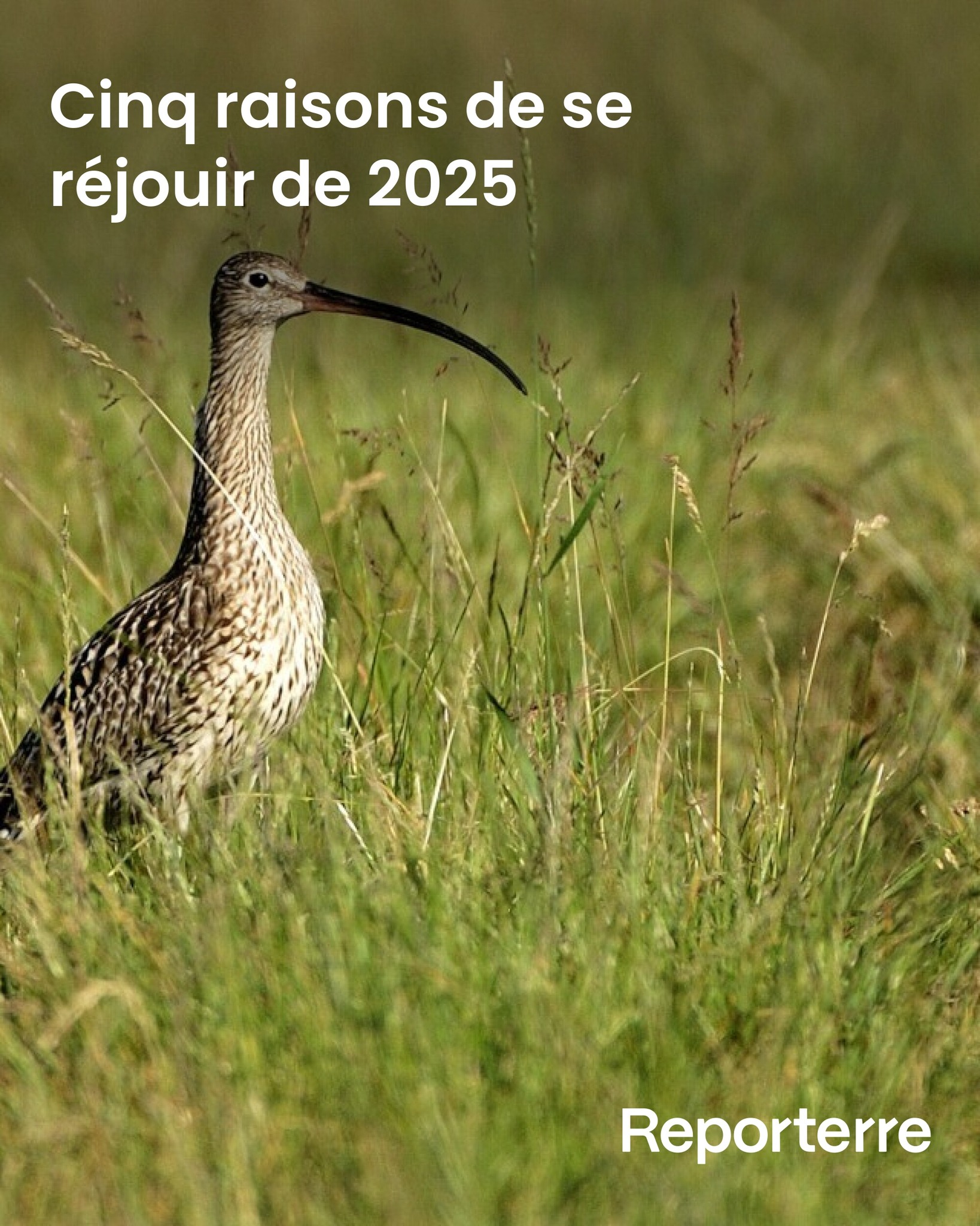 Reporterre, le média de l'écologie