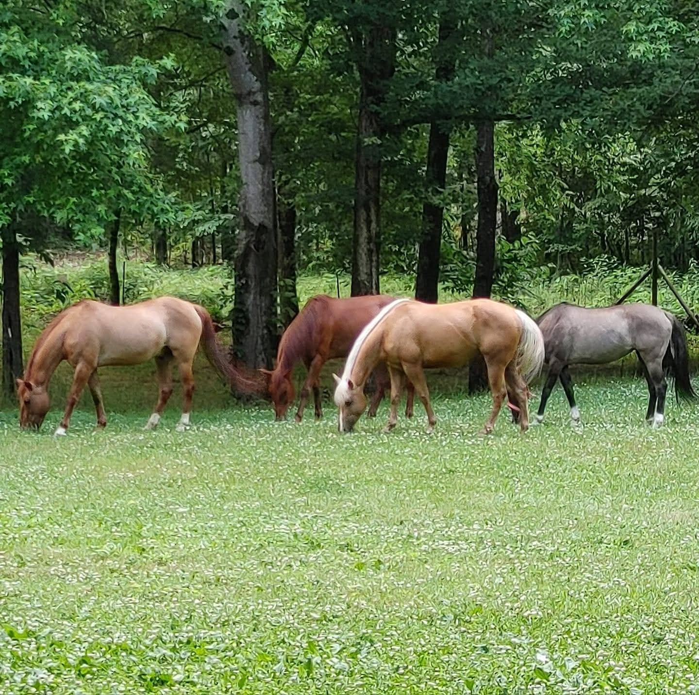 Rolling Ridge Ranch added a new photo. - Rolling Ridge Ranch