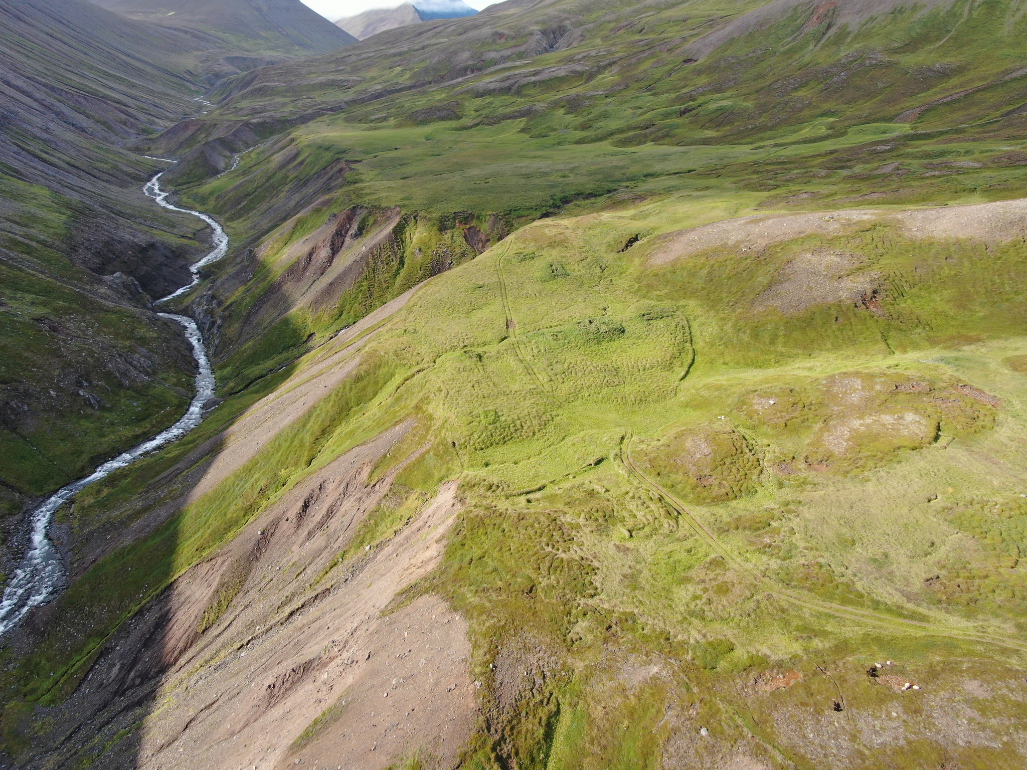 Fornleifastofnun - Minnismerki í akurgerði Björns í Sauðlauksdal # ...