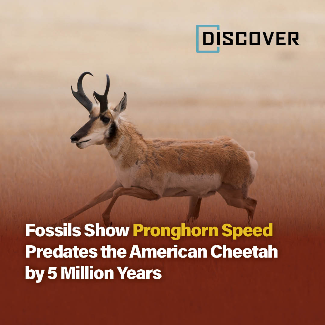 Learn how Miocene fossils from the... - Discover Magazine | Facebook