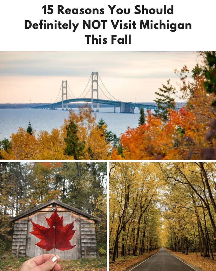 Awesome - 🍂🚫 Think you can handle fall in Michigan? Don’t even try ...
