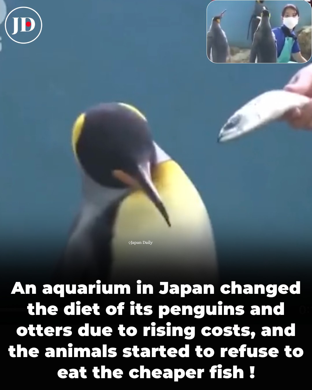 Japan - In Japan, at a place called Hakone-en Aquarium, some penguins ...