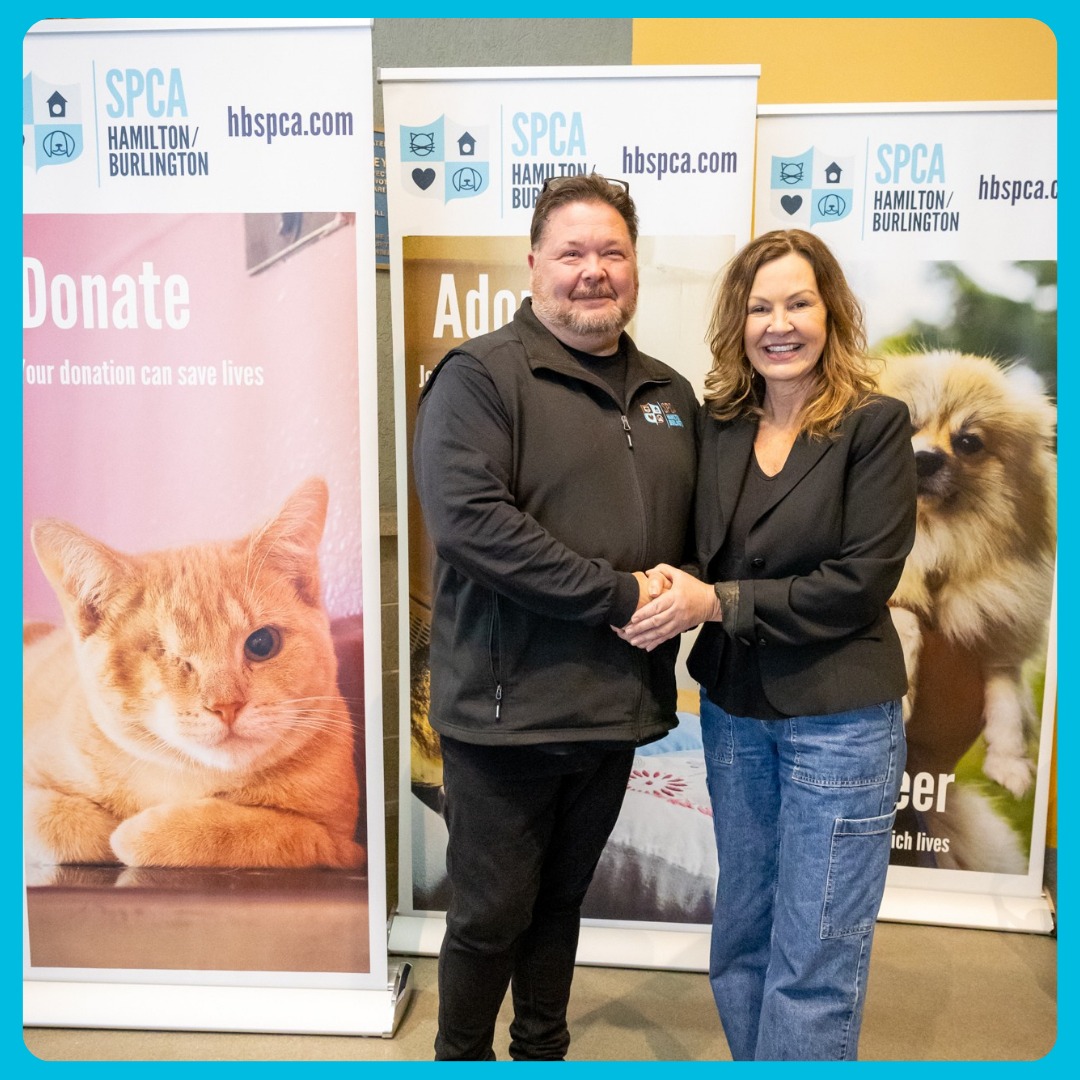 🐾💙 Meet Milo — the sensitive... - Hamilton/Burlington SPCA | Facebook