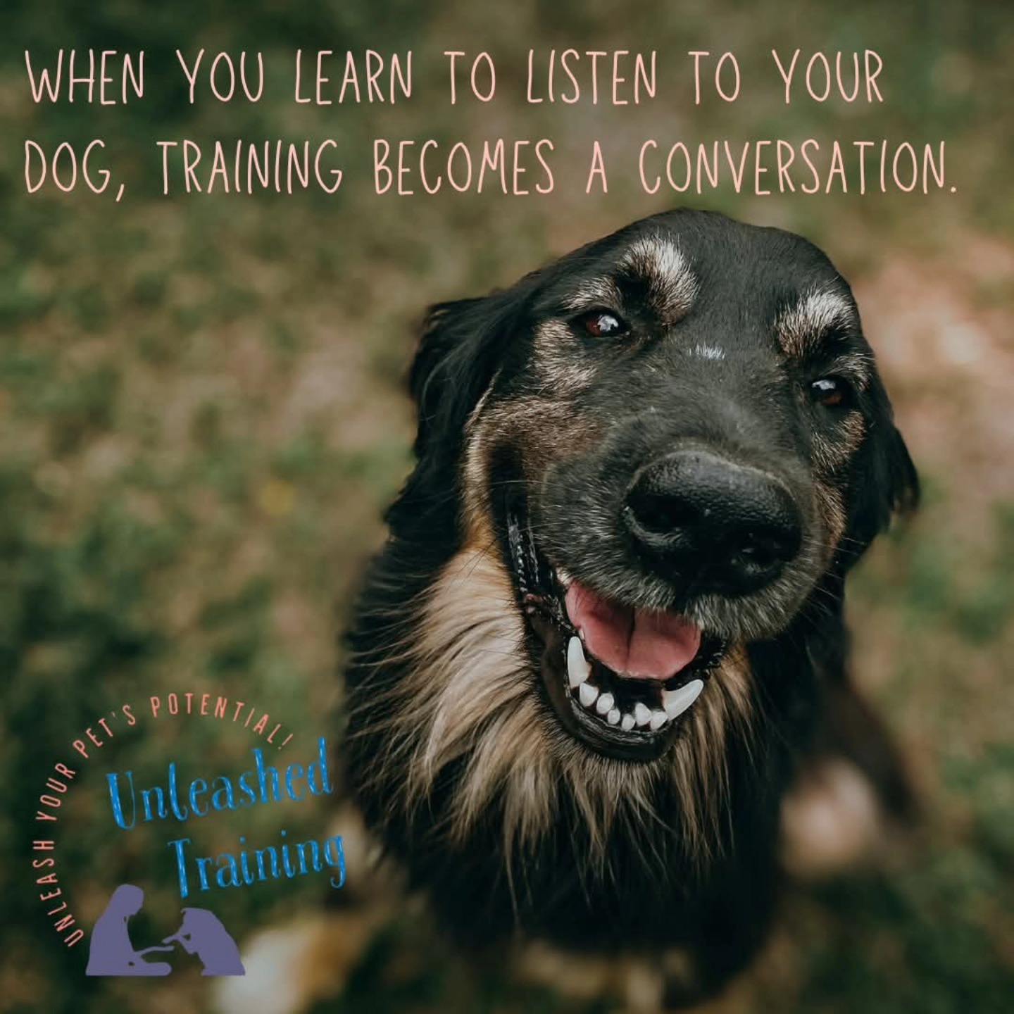 Unleashed Training | Ormond Beach FL