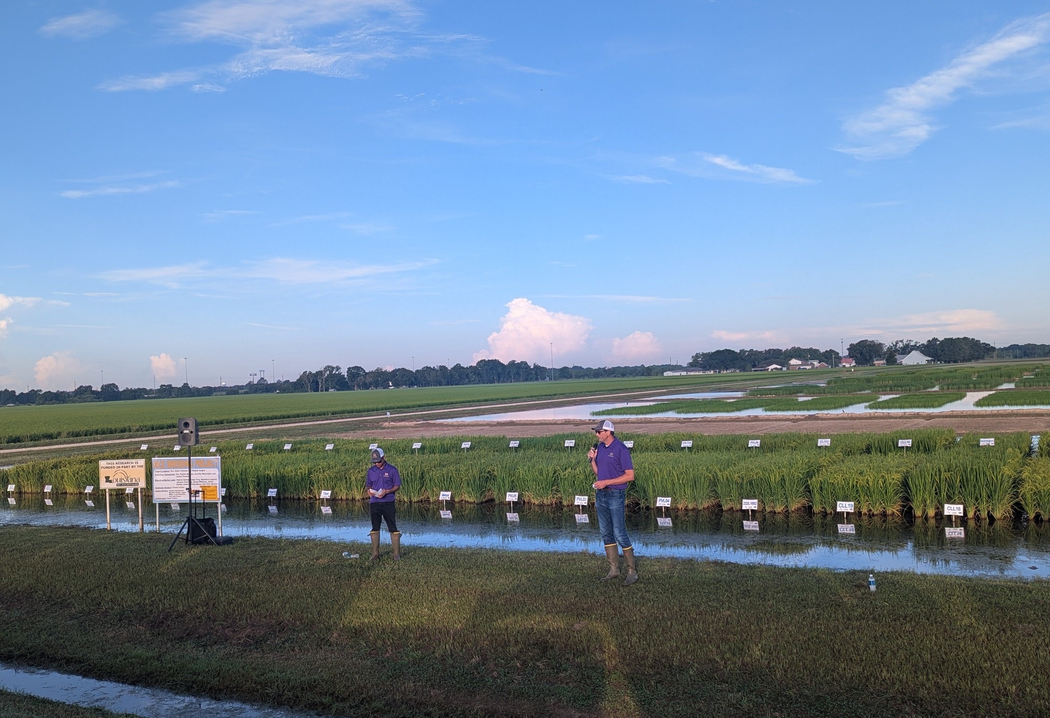 LSU AgCenter H. Rouse Caffey Rice Research Station | Rayne LA