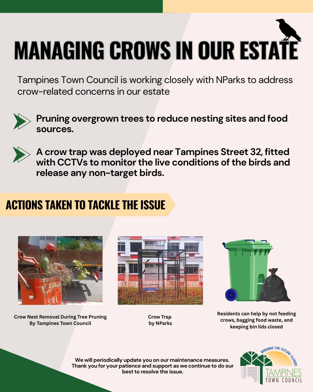 🌳🐦‍⬛ Ongoing Crow Management... - Tampines Town Council | Facebook