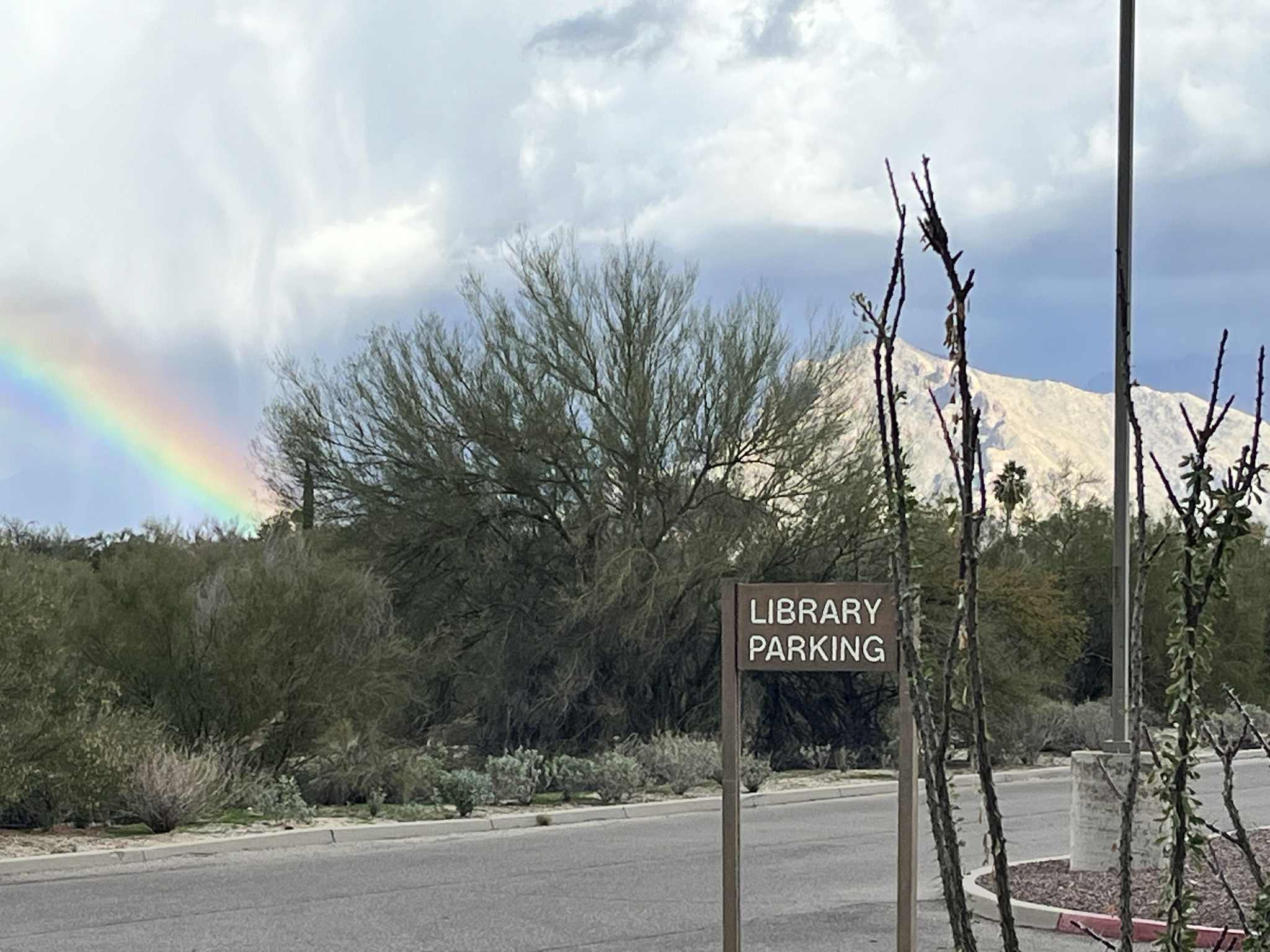 Nanini Library | Tucson AZ