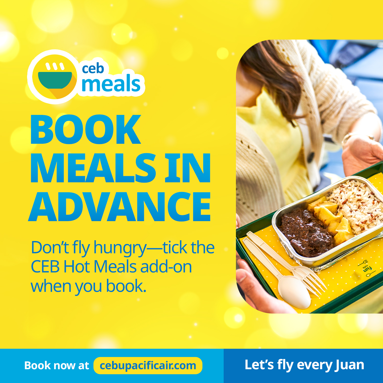 Cebu Pacific Air