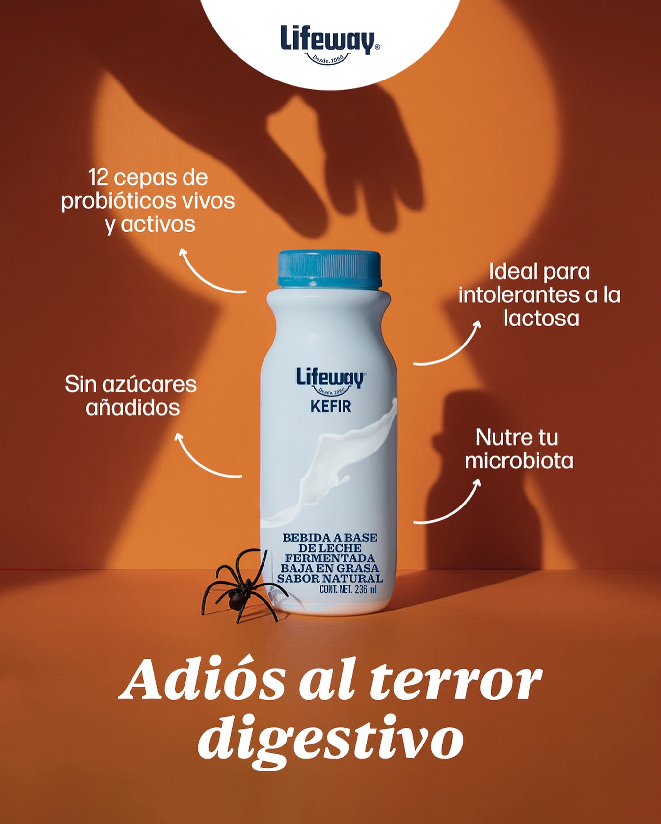Lifeway - Lo único que debería darte miedo son las películas de terror ...