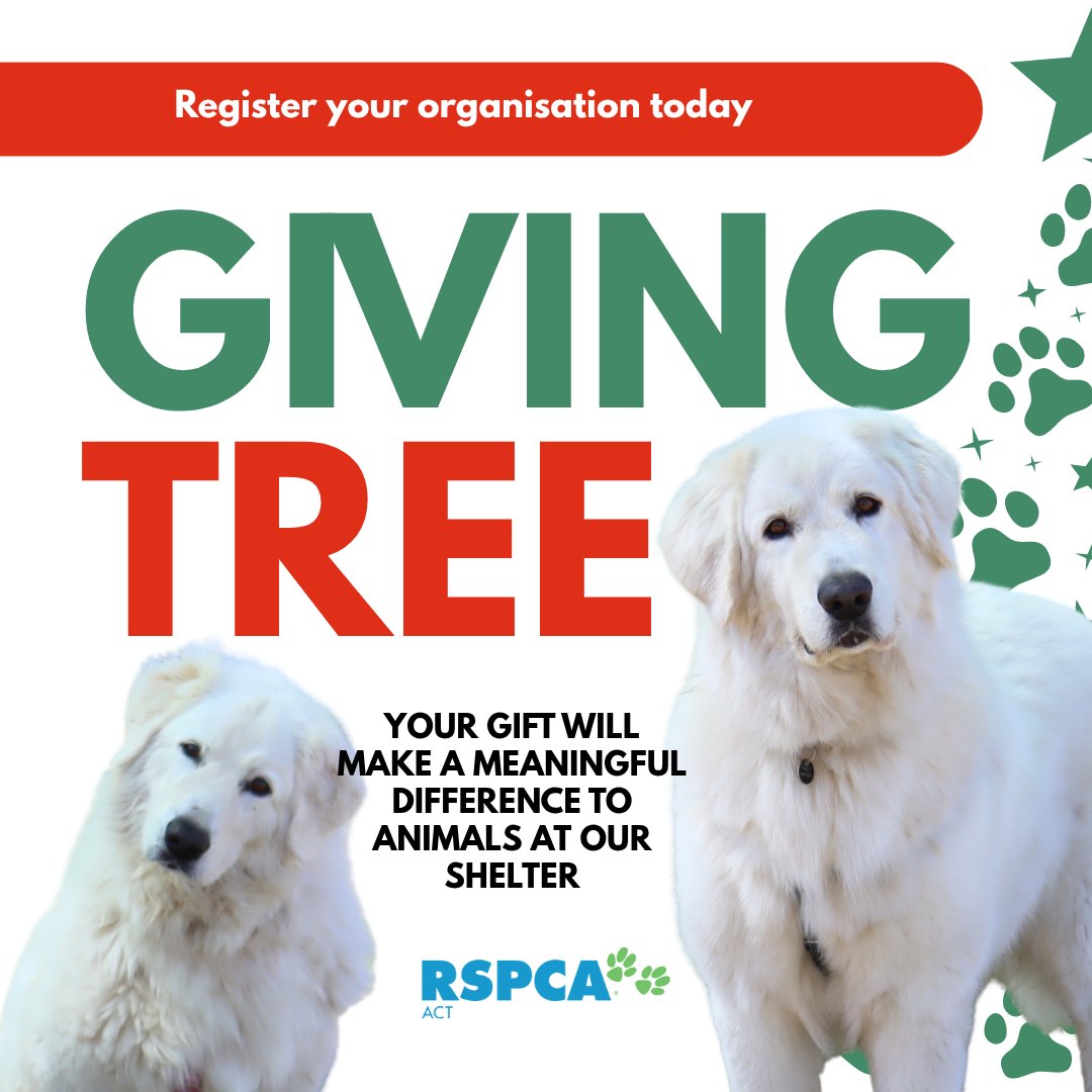 RSPCA ACT - 🎄 The RSPCA ACT Giving Tree Is Back! 🎄 ‘Tis... | Facebook