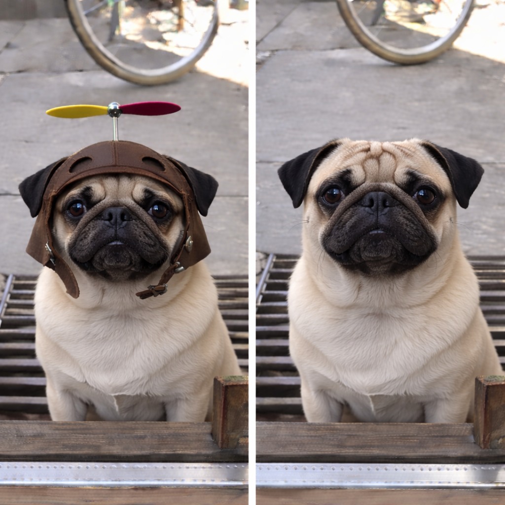 Pug: Small Dog, Big Personality