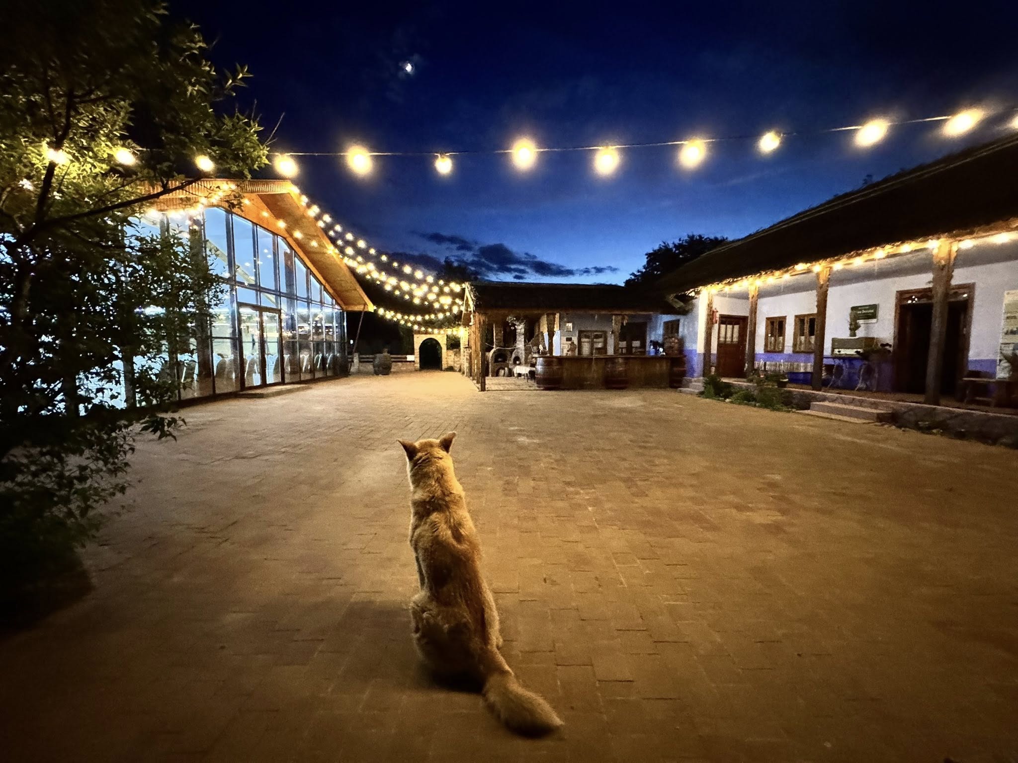 Eco-Village Văleni | Valeni