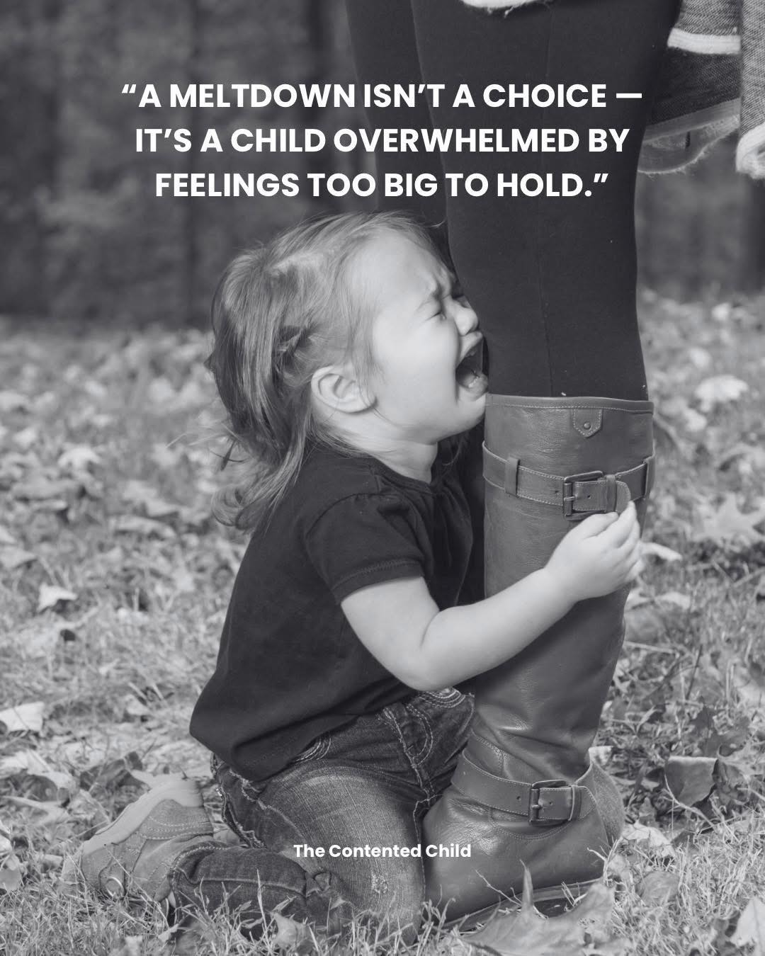 The Contented - When we talk about meltdowns, we’re not talking about ...