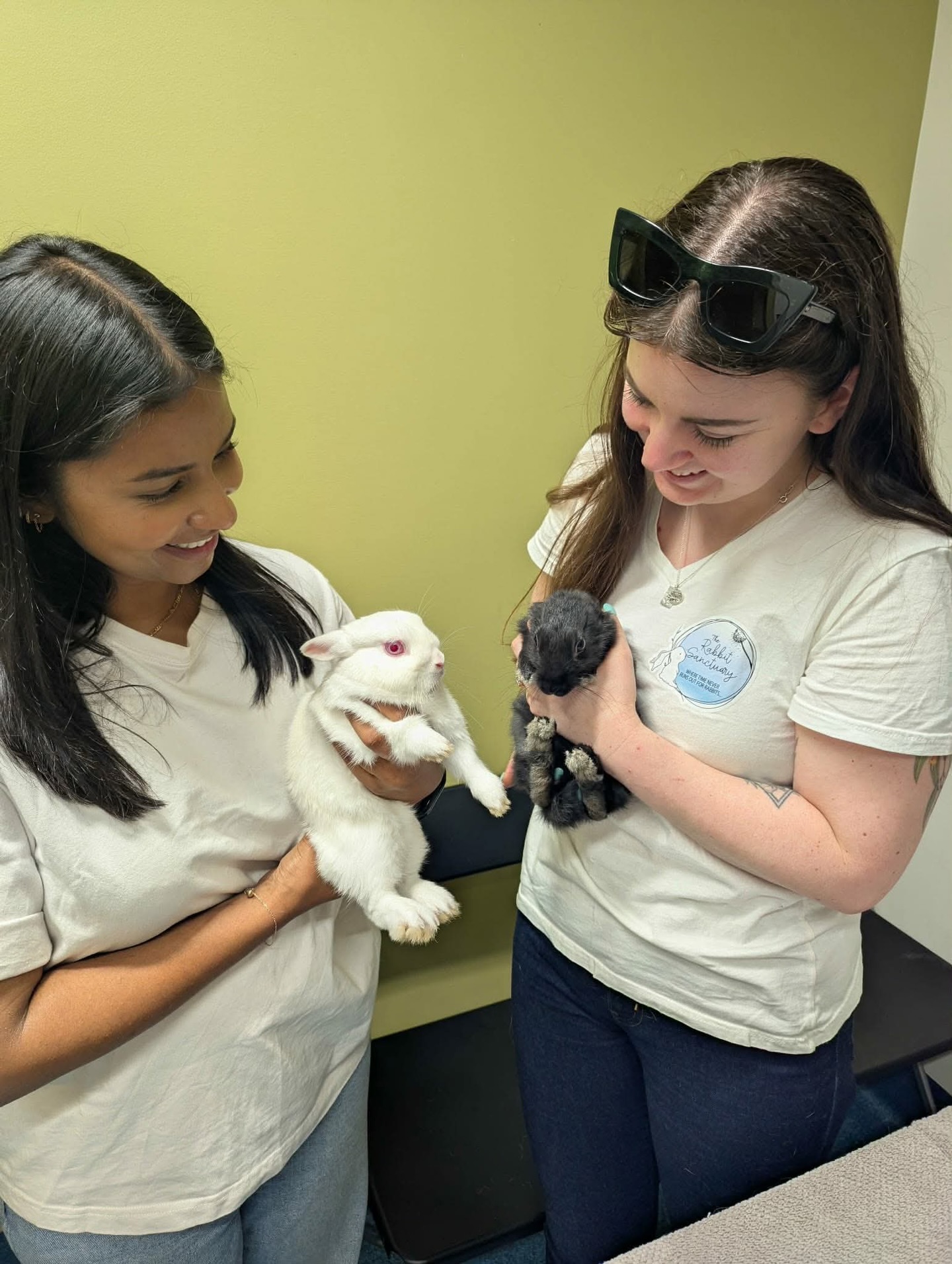 SYDNEY ADOPTION DAY RECAP 💖🙌🏻... - The Rabbit Sanctuary | Facebook