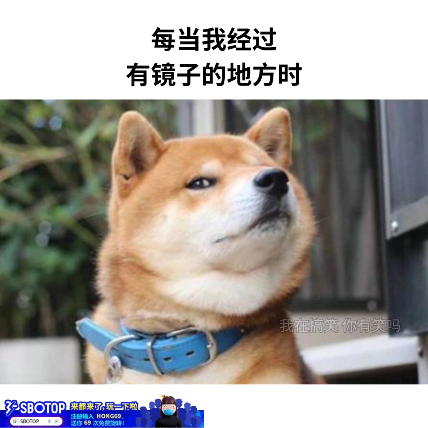 我在搞笑 - 然后发现镜子是里面的人可以看到外面的🤡 游戏时刻，尽在 SBO 体育 IG: areyoulaughing.meme ...