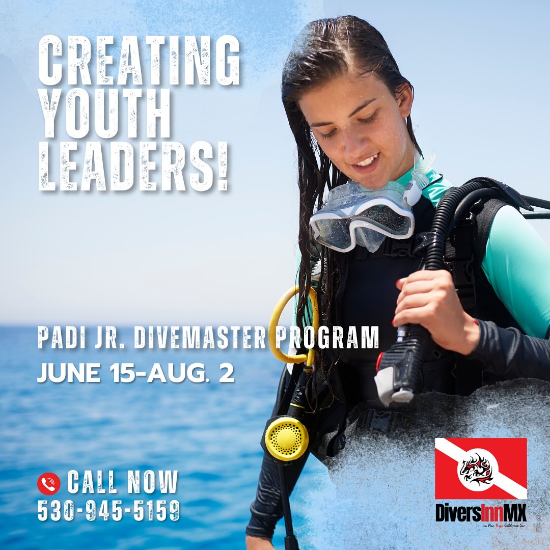 Divers - 🌊🐠 PADI Junior Divemaster: Shaping the Next Generation of Dive ...