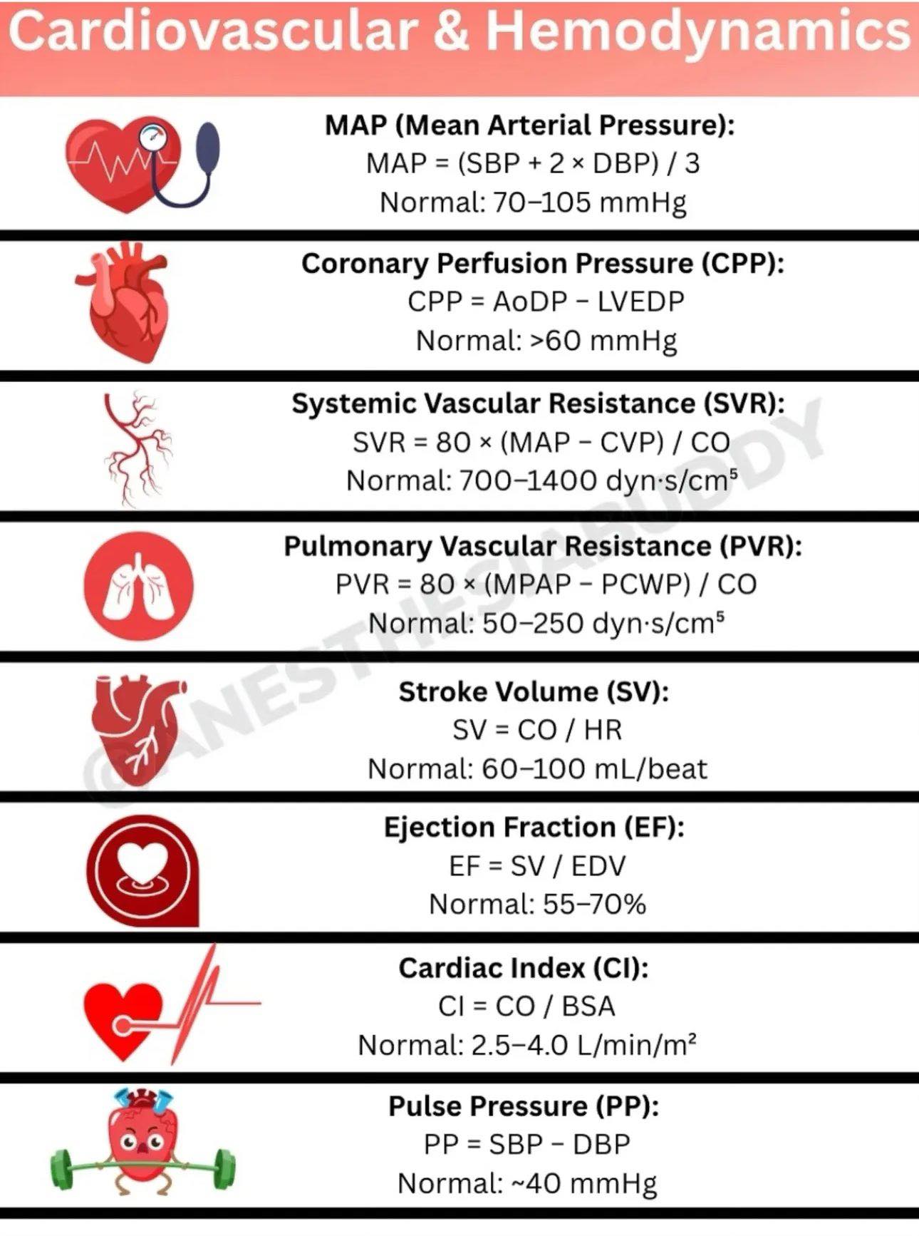 Cardiophilia - Pressure Cardiovascular & Haemodynamics | Facebook