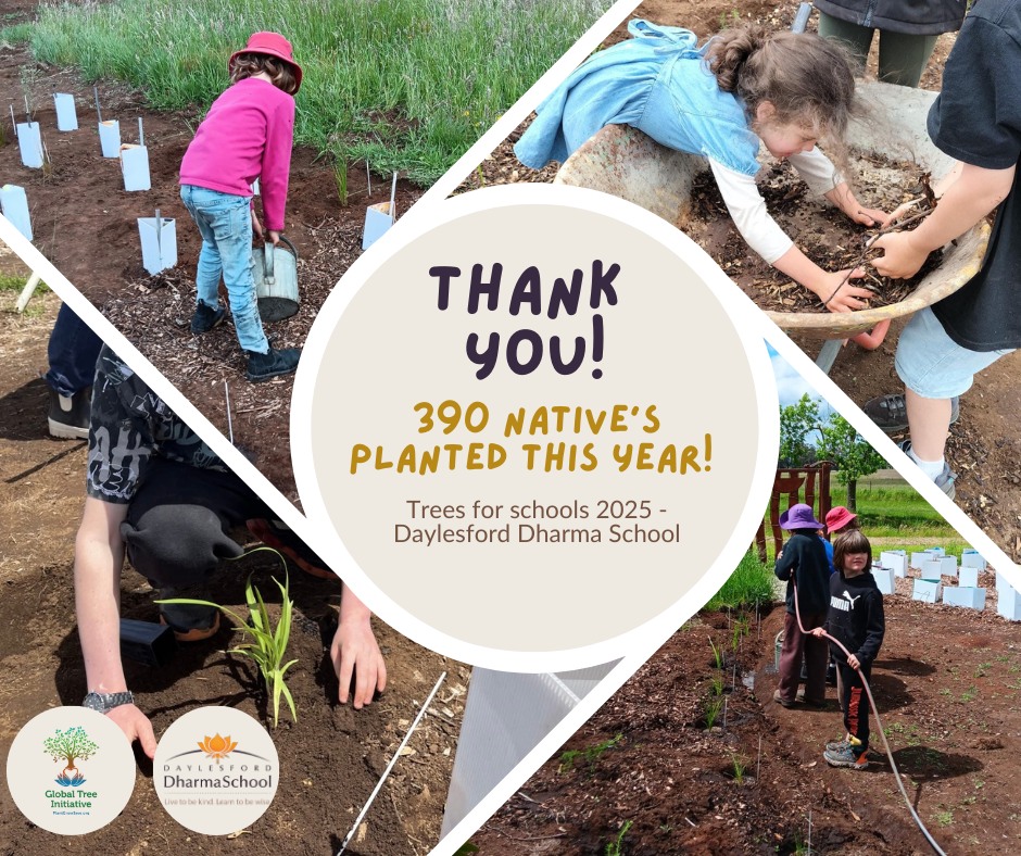 Global Tree Initiative Australia | Melbourne VIC