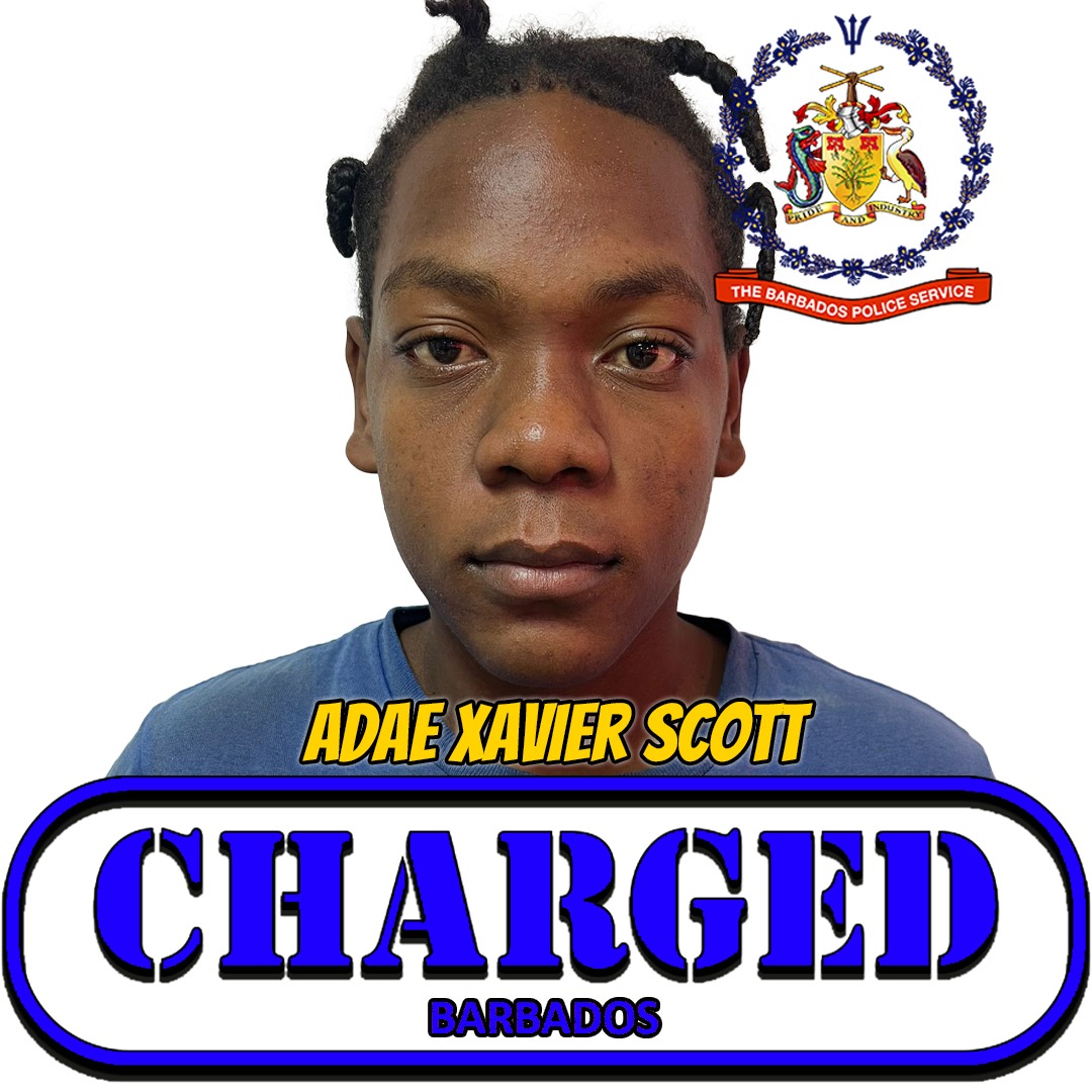 The Barbados - The Barbados Police Service (TBPS) Criminal ...