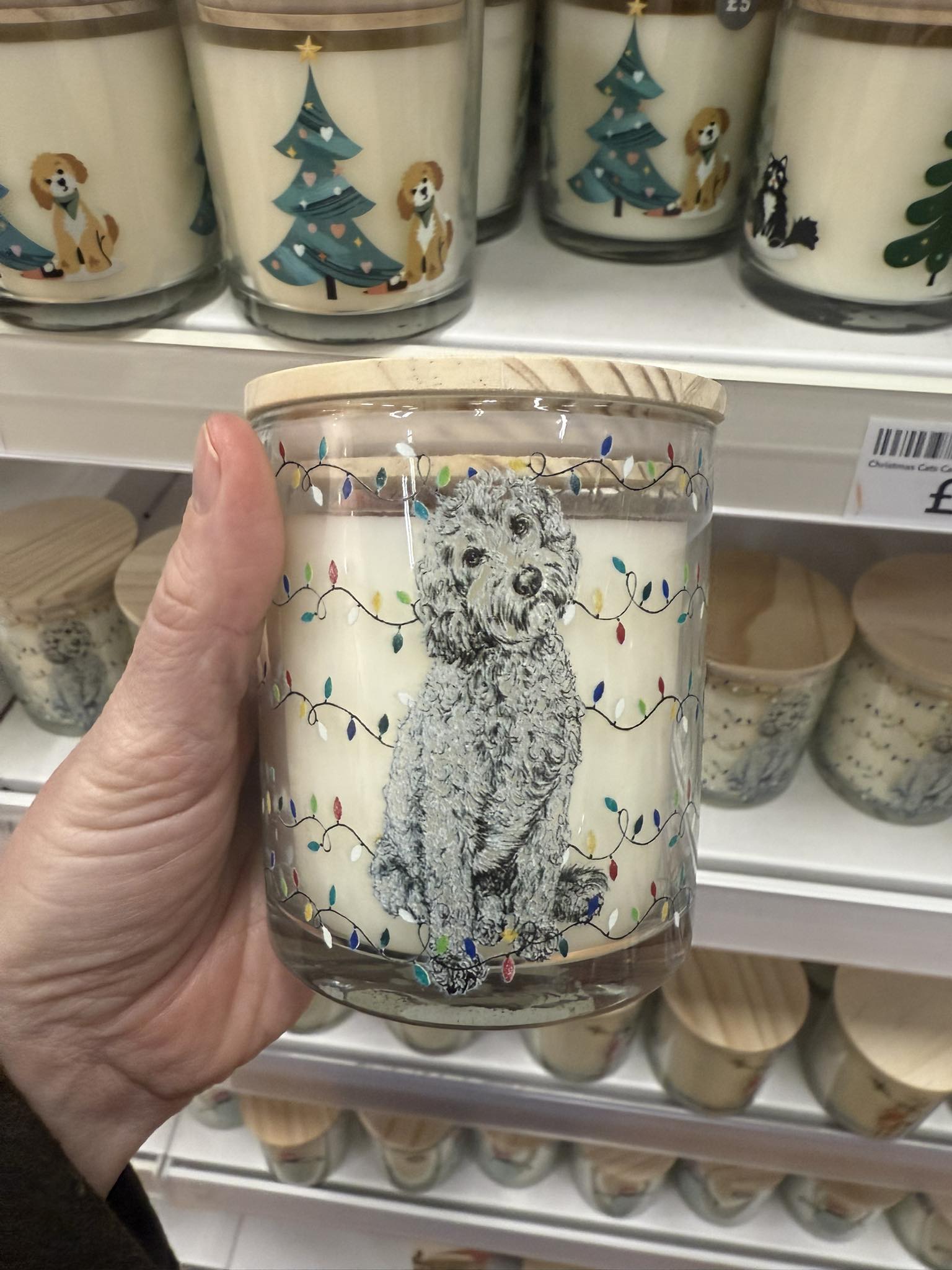 FindingRoisin - NEW Cockapoo Christmas candle from @dunelm 🤎 | Facebook