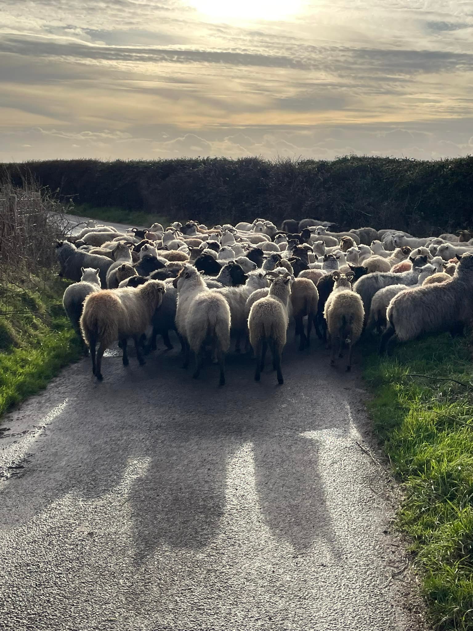 Stones Throw Farm | Arundel