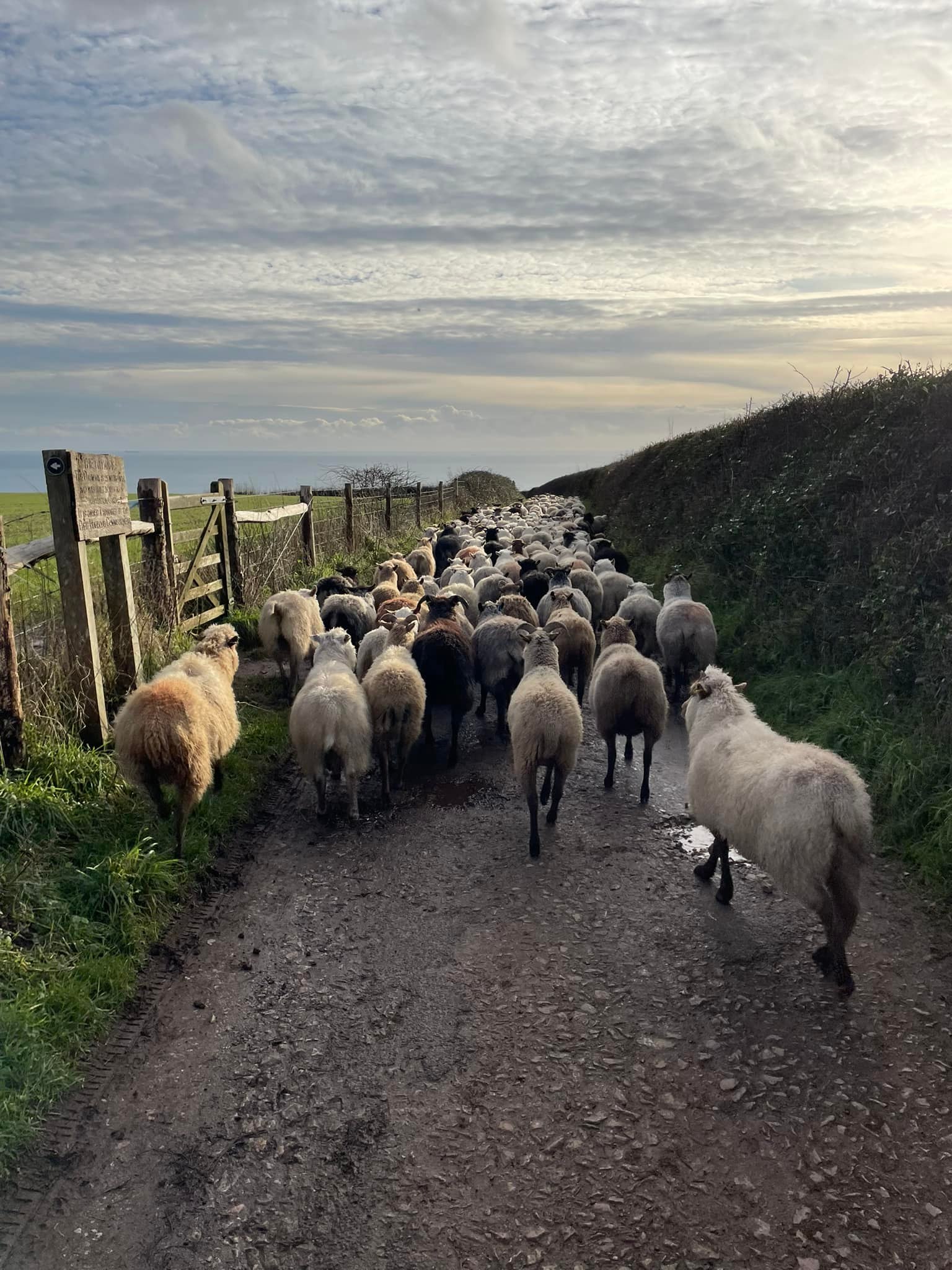 Stones Throw Farm | Arundel